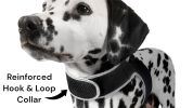 NEW iPhone Apple Dog Tracker Waterproof Rechargeable GSM GPS Locator Size:L